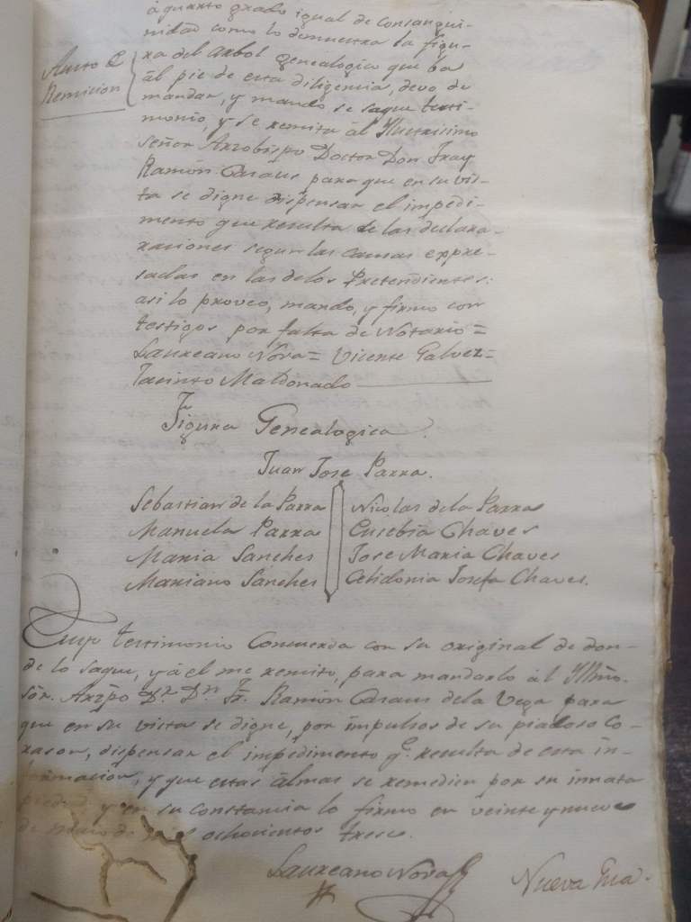 Genealogical chart from a marriage record